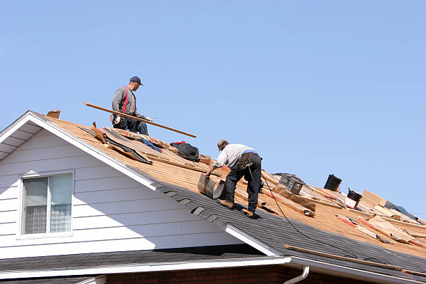 Best Roof Waterproofing  in Woodlake, VA