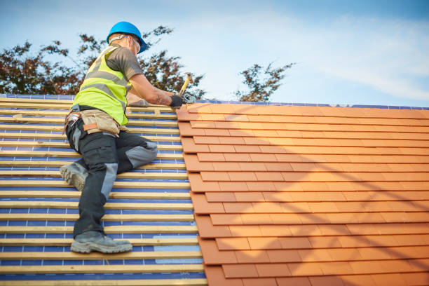 Best Sheet Metal Roofing  in Woodlake, VA